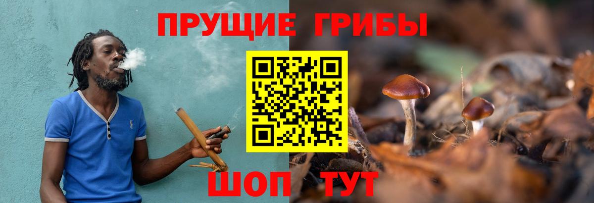 Галлюциногенные грибы Cubensis  Вход с VPN  хочу наркоту  Галлюциногенные грибы Magic Shrooms  Екатеринбург 